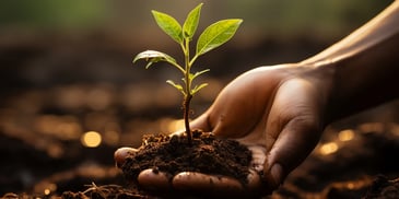 a hand holding a small plant