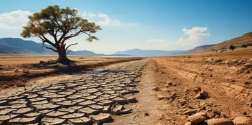 a dry cracked ground with a tree in the background