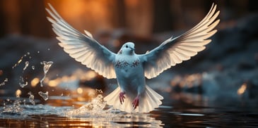 a white bird with wings spread out