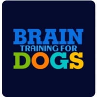 Brain Training for Dogs